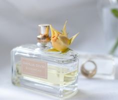 Best Smelling City Perfume Picks You Should Try