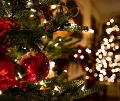 Elevate Your Christmas Decor With Hoselink Solar Lights